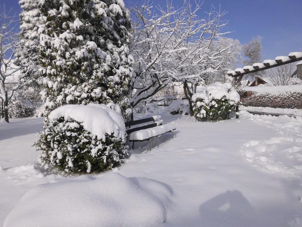 Apartment In Langewiese Sauerland With Garden Winterberg Exteriör bild